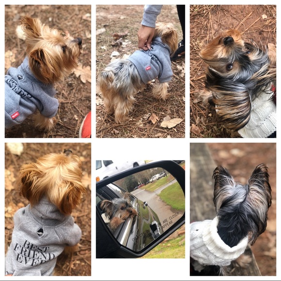 Meet Your:
Top Seller💋Buyer - Picture 12 of 15